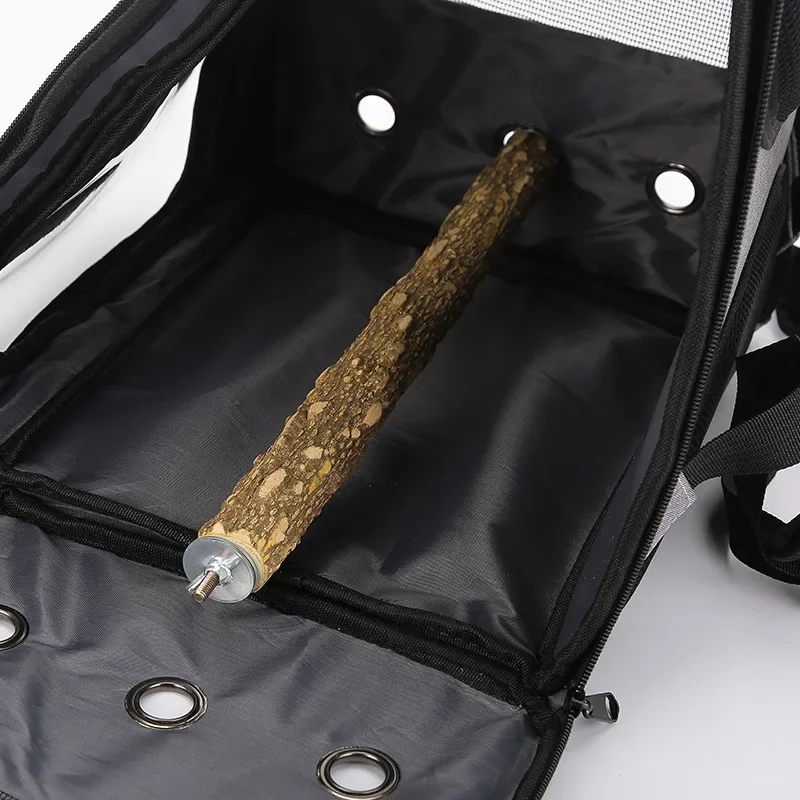 Açık Hava Papağan Sırt Çantası - Luxury Bags Price incelemesi ve fiyatı