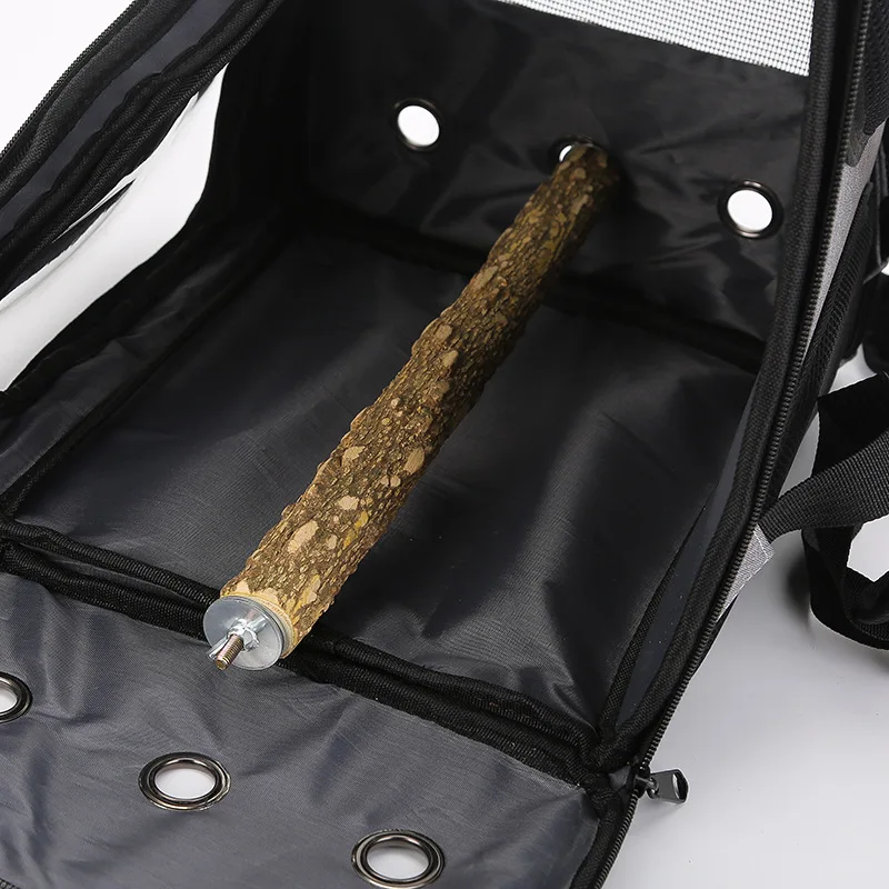 Açık havada Papağan Sırt Çanta - Luxury Bags Price incelemesi ve fiyatı