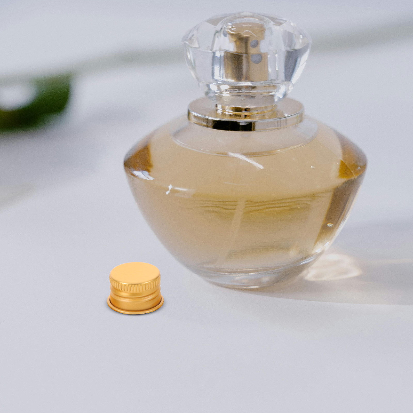 Kadınlar için Çanta Lüks Tasar - Luxurious Bag incelemesi ve fiyatı