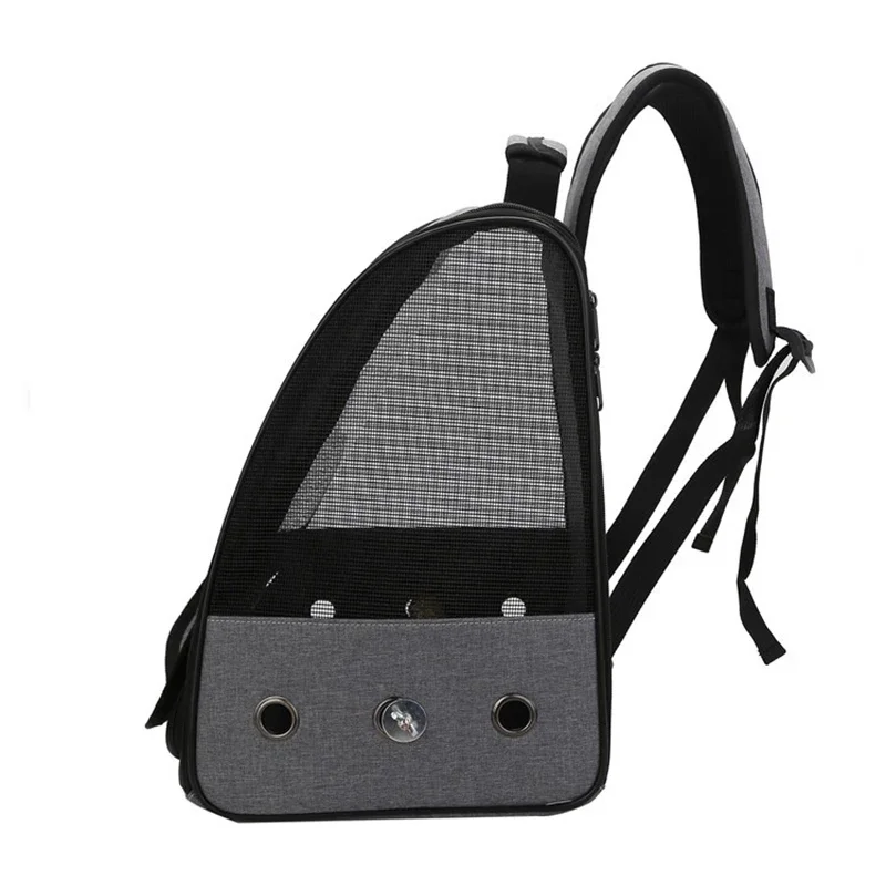Seyahat Lüks Kuş Taşıma Çantas - Luxury Bags Price incelemesi ve fiyatı